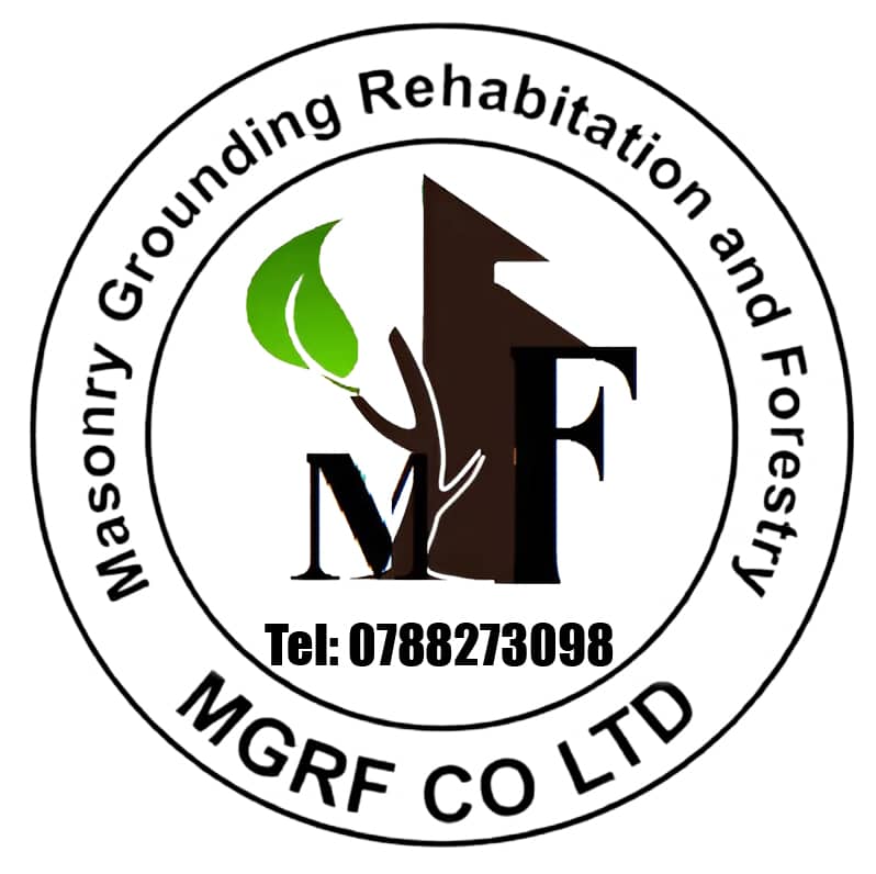 Students learning carpentry at MGRF Company Ltd